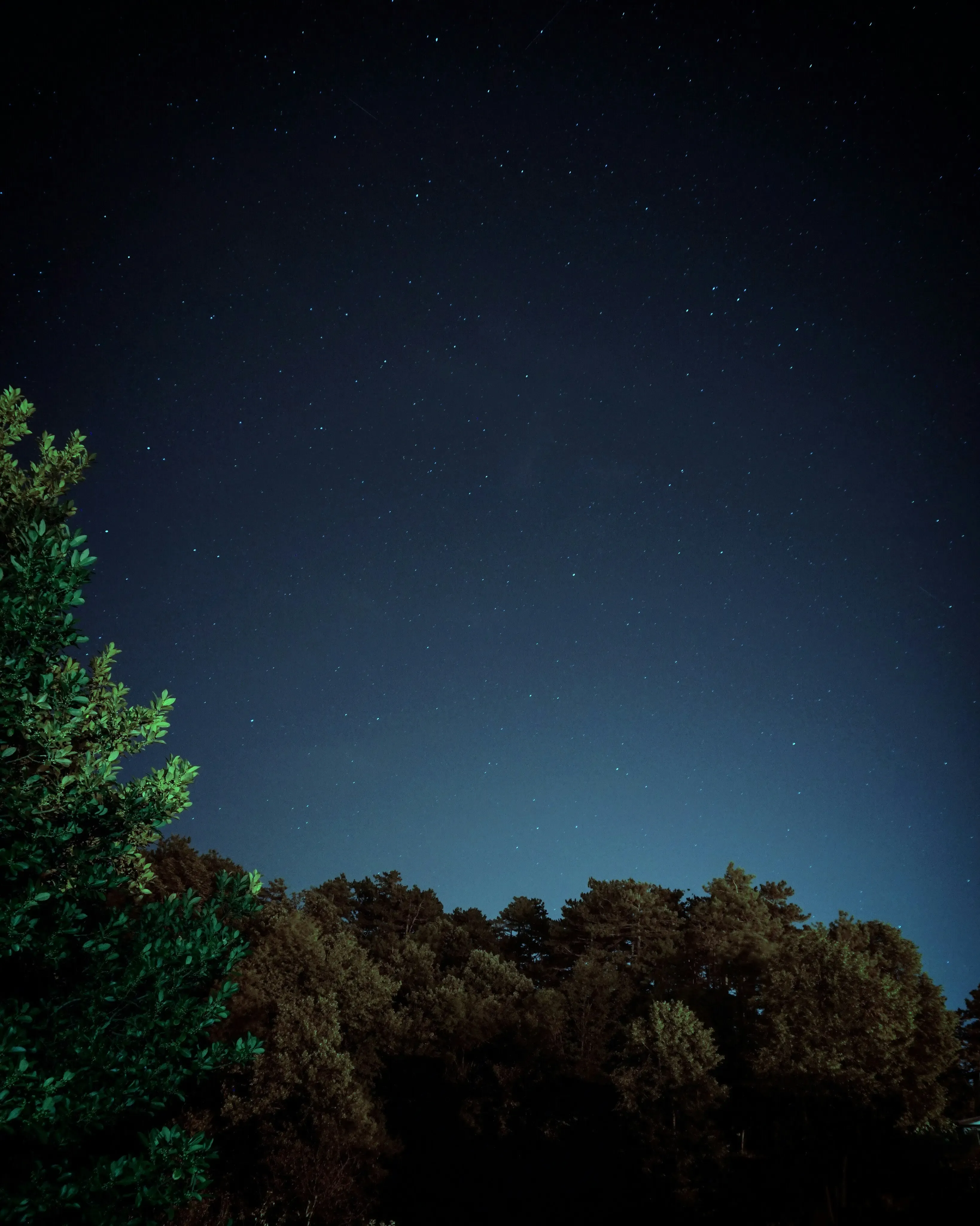 AI Generated Video Preview